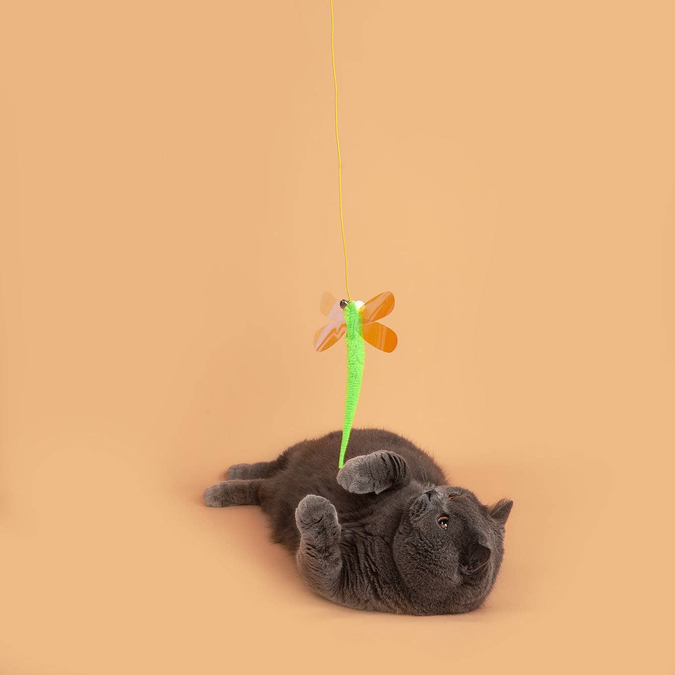 Moo - Hanging Dragonfly Cat Toy (3pc)