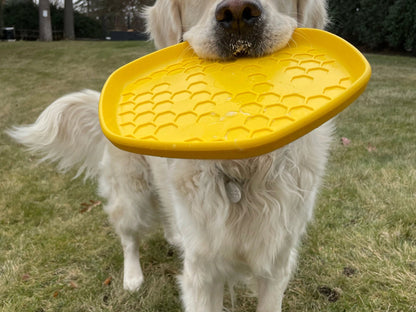 Hive Disc & Lick Mat - Unscented